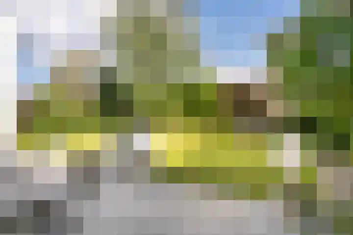 Kapelstraat 8 Leende thumbnail 17