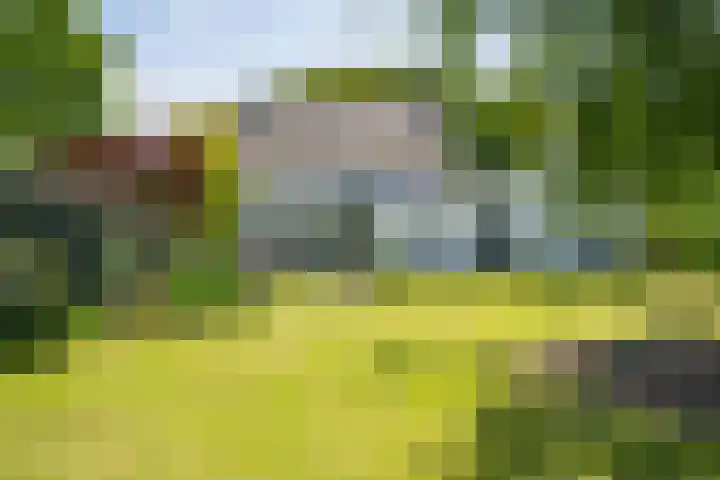Kapelstraat 8 Leende thumbnail 18