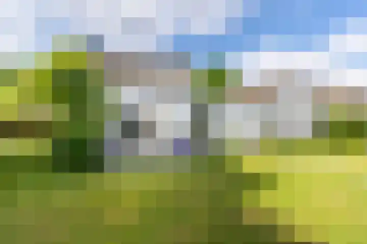 Kapelstraat 8 Leende thumbnail 5
