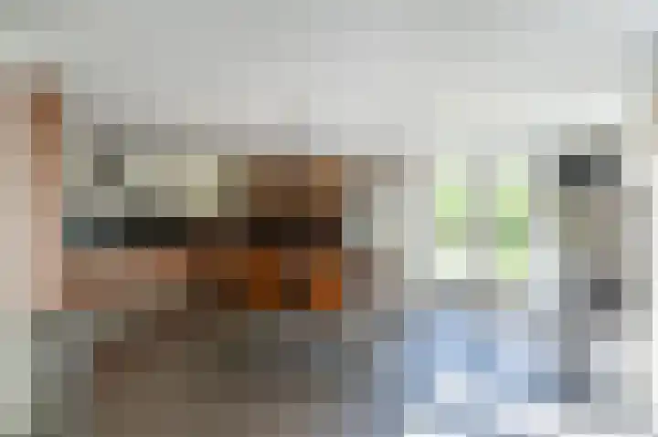 Kapelstraat 8 Leende thumbnail 9