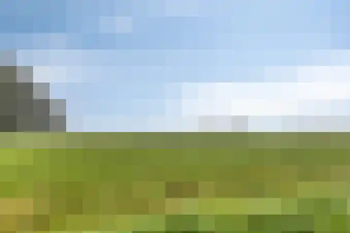 Kapelweg 30 Vragender thumbnail 4