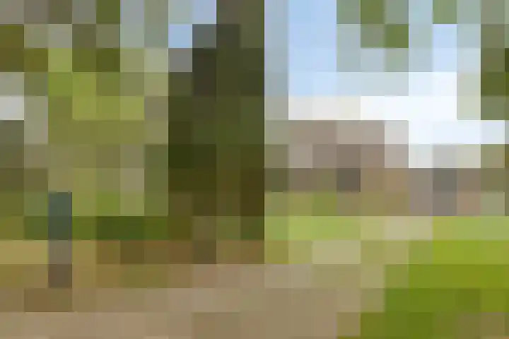 Kapelweg 30 Vragender thumbnail 44