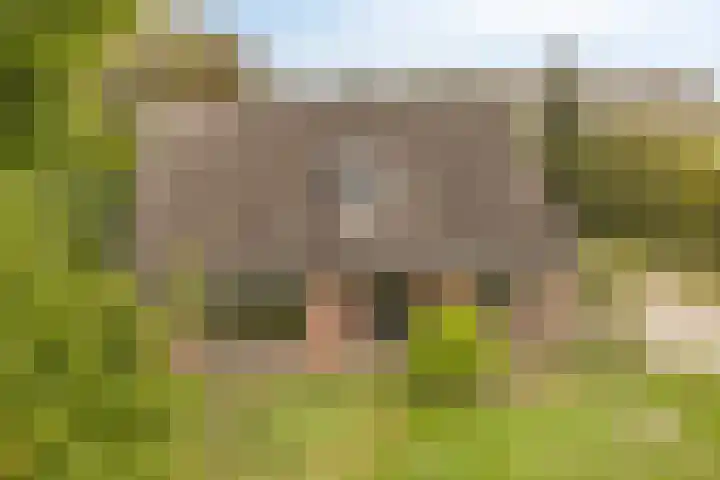 Kapelweg 30 Vragender thumbnail 6