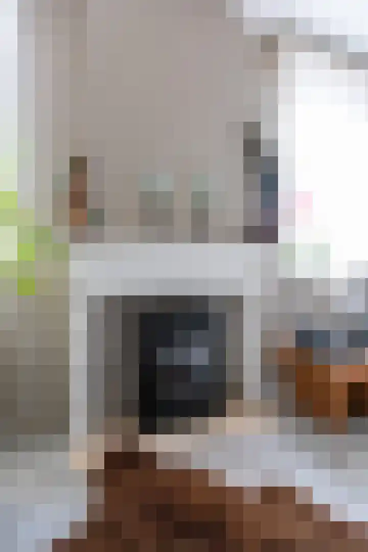 Kapelweg 4 Megchelen thumbnail 14