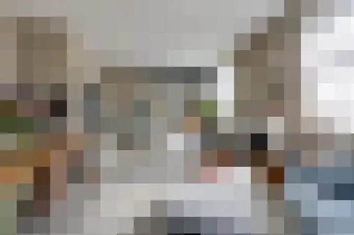 Kapelweg 4 Megchelen thumbnail 18