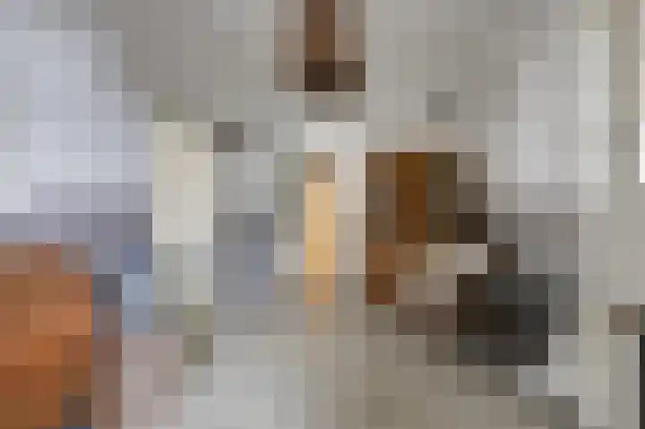 Kapelweg 4 Megchelen thumbnail 20