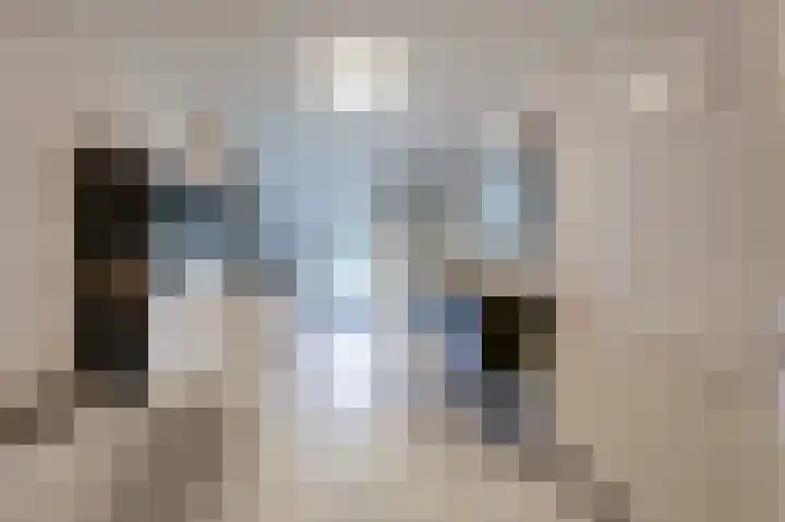 Kapelweg 4 Megchelen thumbnail 31