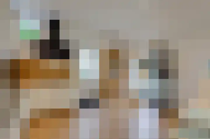 Kapelweg 4 Megchelen thumbnail 37
