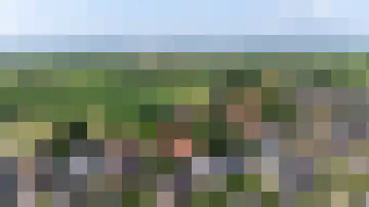 Kapelweg 4 Megchelen thumbnail 4