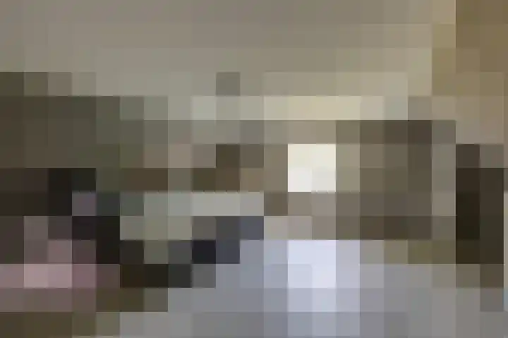 Kapelweg 4 Megchelen thumbnail 45