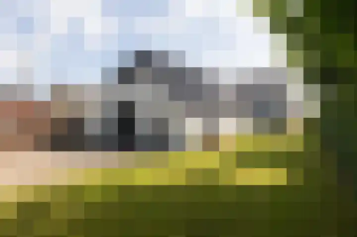 Kapelweg 4 Megchelen thumbnail 64