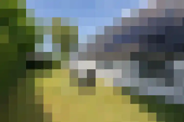 Kapelweg 4 Megchelen thumbnail 65