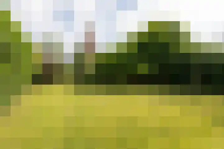 Kapelweg 4 Megchelen thumbnail 72