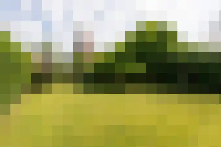 Kapelweg 4 Megchelen thumbnail 73