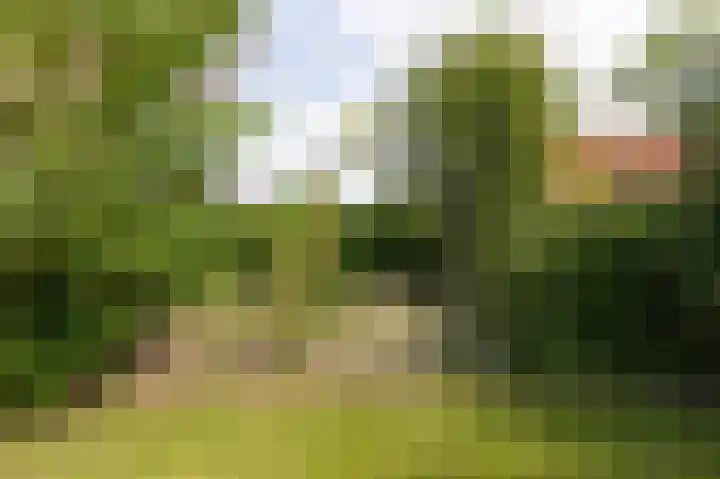 Kapelweg 4 Megchelen thumbnail 74