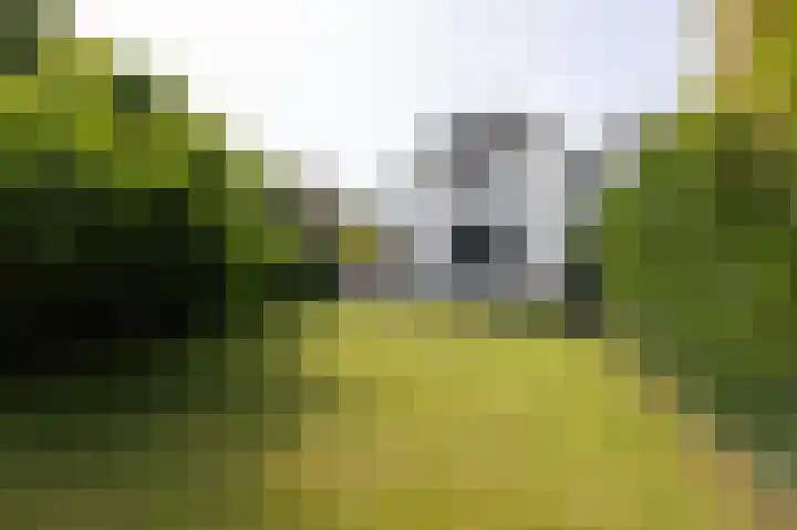 Kapelweg 4 Megchelen thumbnail 75