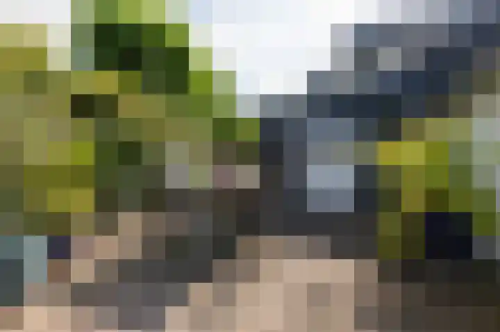 Kapelweg 4 Megchelen thumbnail 79