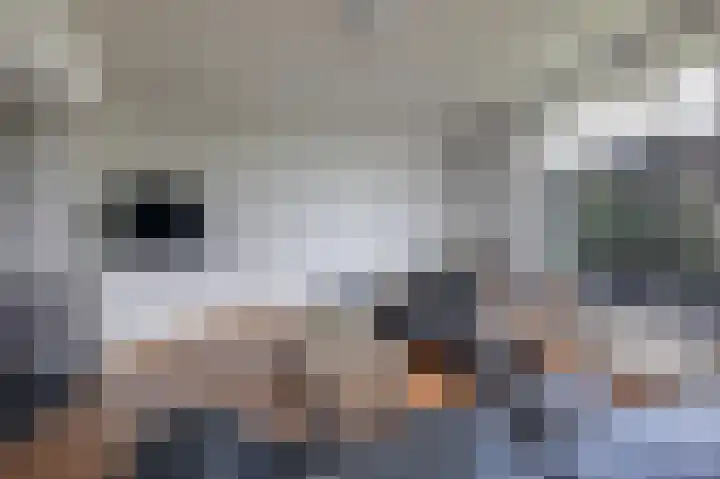 Kapelweg 4 Megchelen thumbnail 8
