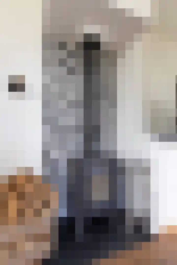 Kapelweg 4 Megchelen thumbnail 9