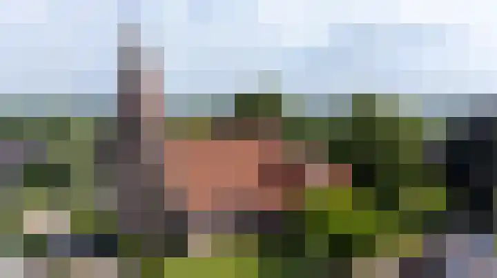 Kapelweg 4 Megchelen thumbnail 91