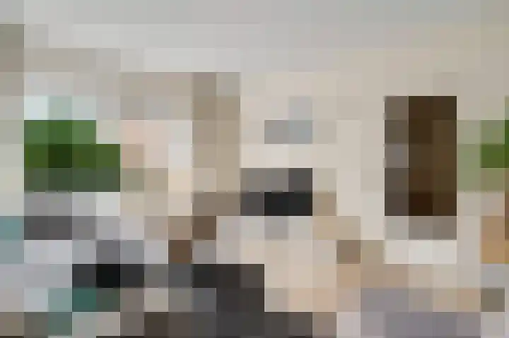 Kapelweg 9 Urmond thumbnail 6