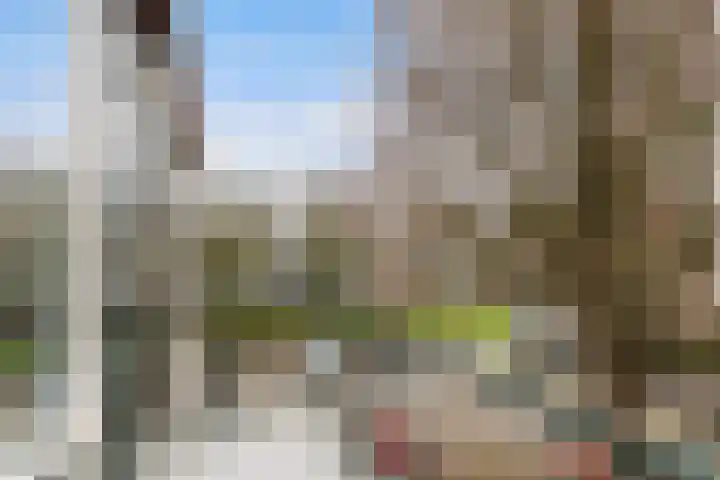 Kapershoek 42 Rotterdam thumbnail 37