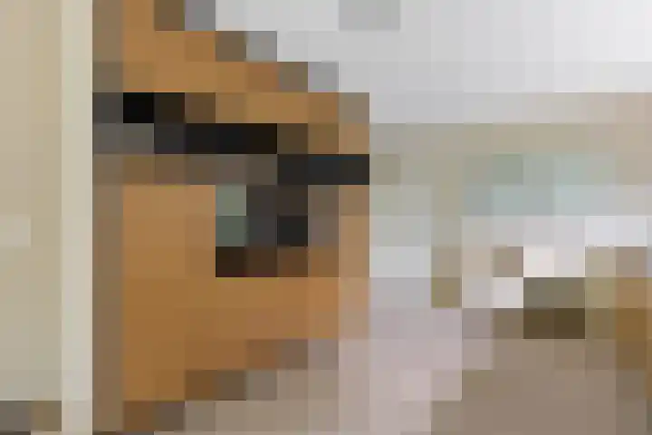 Kapershof 27 Beuningen Gld thumbnail 10