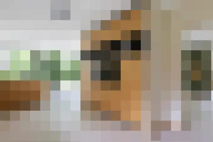 Kapershof 27 Beuningen Gld thumbnail 11