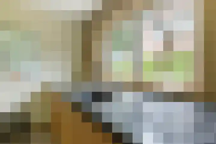 Kapershof 27 Beuningen Gld thumbnail 13