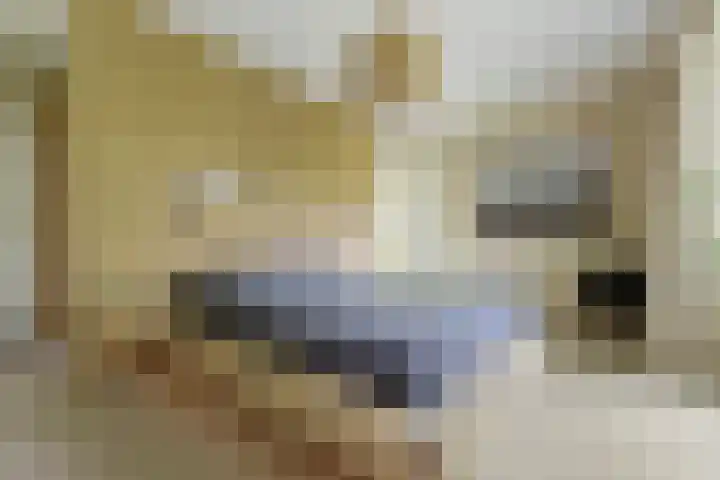 Kapershof 27 Beuningen Gld thumbnail 24