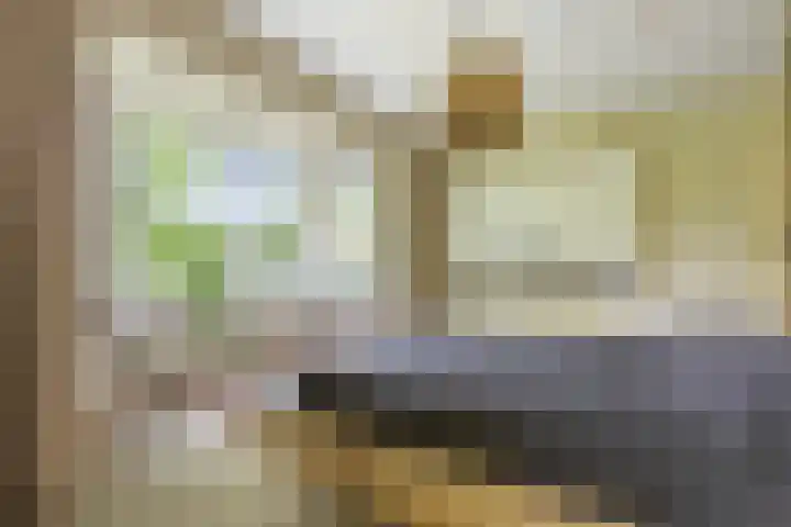 Kapershof 27 Beuningen Gld thumbnail 25