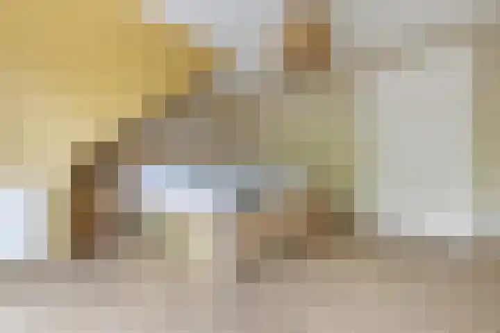 Kapershof 27 Beuningen Gld thumbnail 39