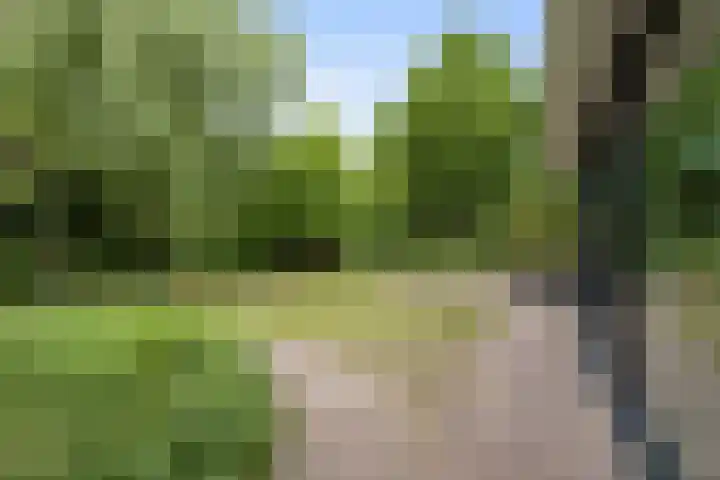 Kapershof 27 Beuningen Gld thumbnail 48