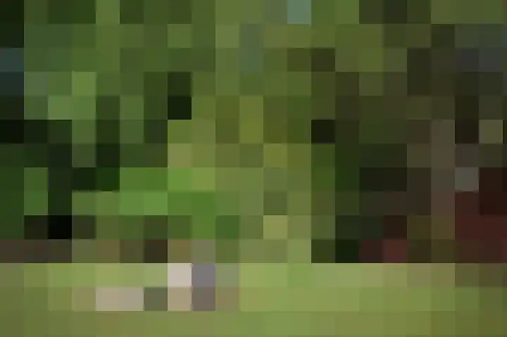 Kapershof 27 Beuningen Gld thumbnail 52