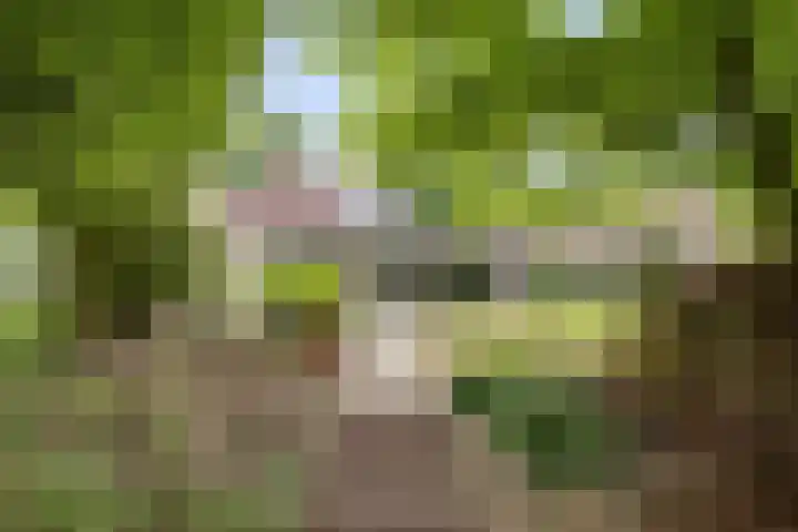 Kapershof 27 Beuningen Gld thumbnail 53