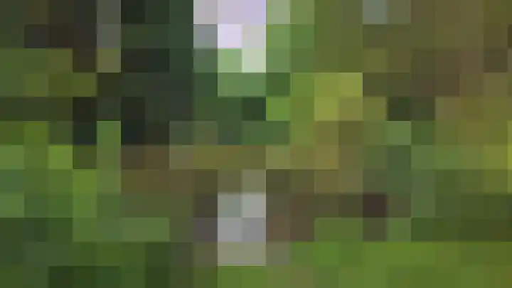 Kapershof 27 Beuningen Gld thumbnail 61