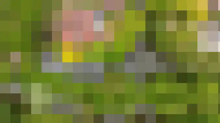 Kapershof 27 Beuningen Gld thumbnail 63