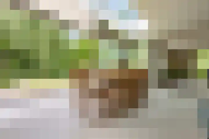 Kapershof 27 Beuningen Gld thumbnail 7