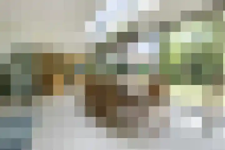 Kapershof 27 Beuningen Gld thumbnail 8