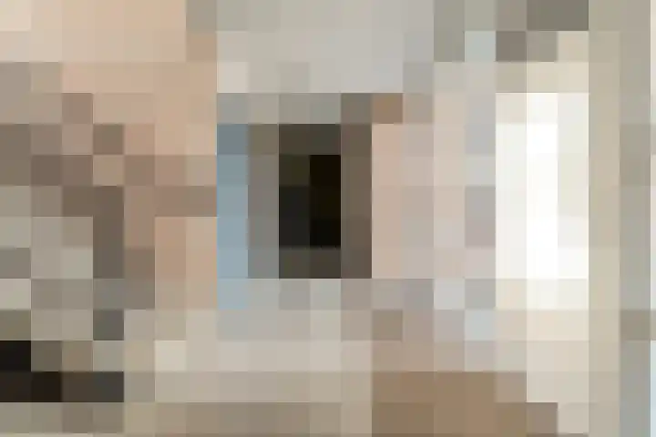 Kapittelstraat 9 E Gilze thumbnail 6