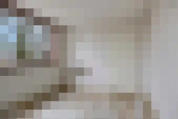 Kappeijnestraat 21 Oss thumbnail 10