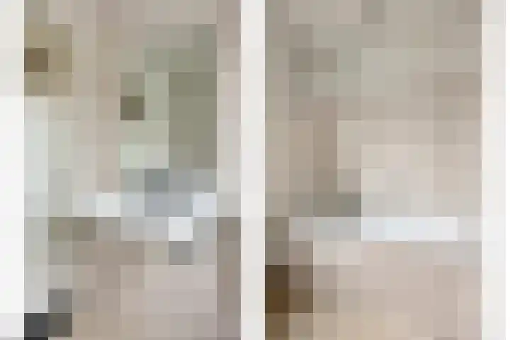 Kappeijnestraat 21 Oss thumbnail 16