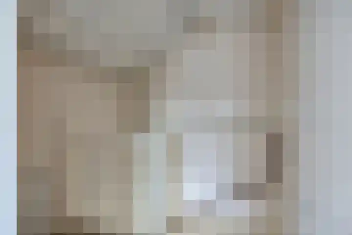 Kappeijnestraat 21 Oss thumbnail 17