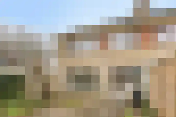 Kappeijnestraat 21 Oss thumbnail 20