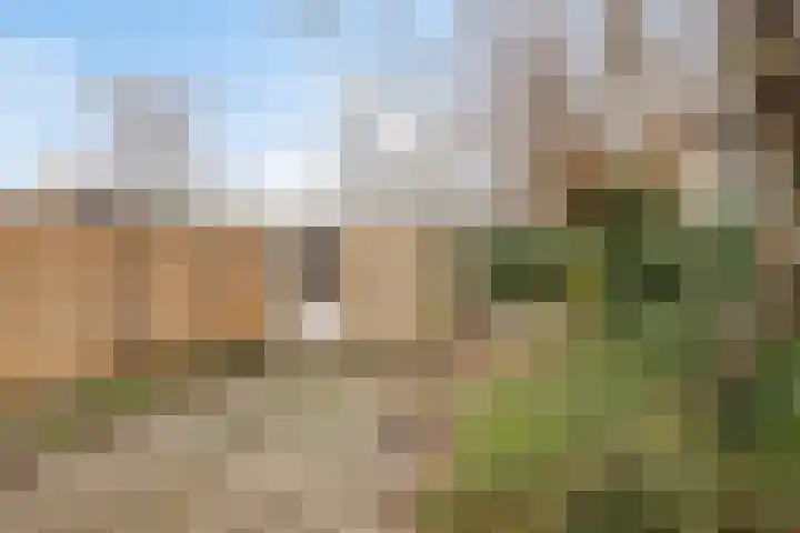 Kappeijnestraat 21 Oss thumbnail 22