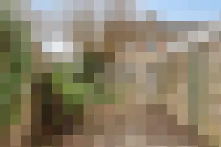 Kappeijnestraat 21 Oss thumbnail 23