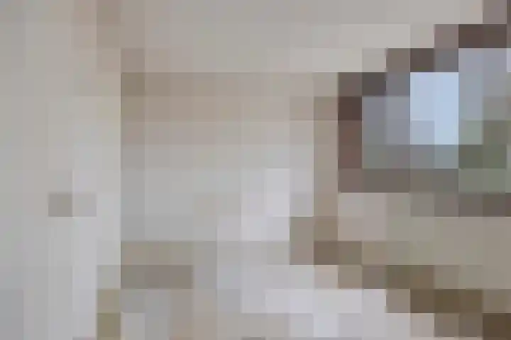 Kappeijnestraat 21 Oss thumbnail 9