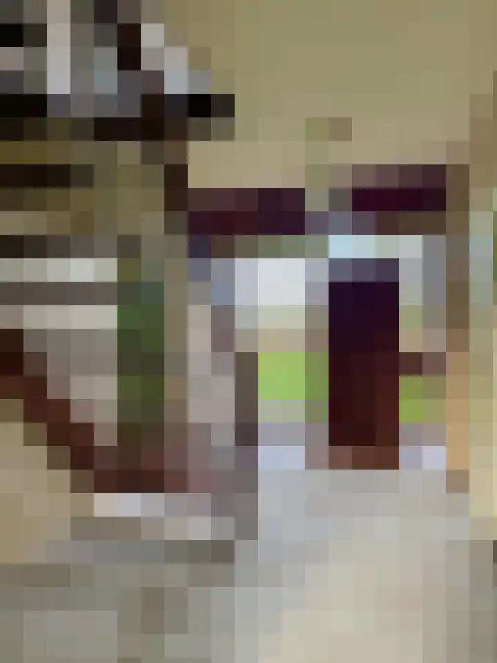 Kappeweg 10 Wijhe thumbnail 14