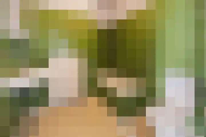 Kappeweg 10 Wijhe thumbnail 20