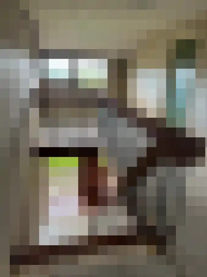 Kappeweg 10 Wijhe thumbnail 27